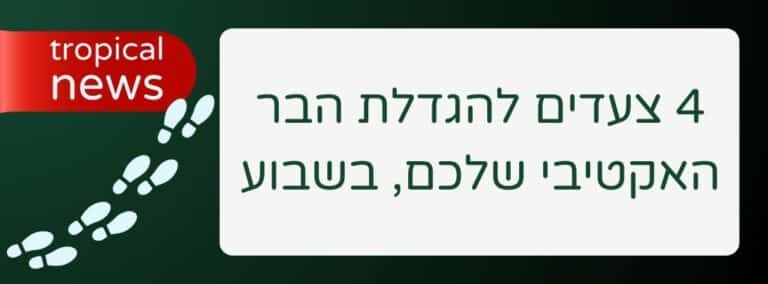 4 צעדים להגדלת הבר האקטיבי שלכם, בשבוע - שירותי בר