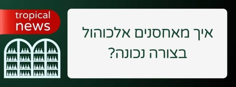 איך מאחסנים אלכוהול בצורה נכונה_ - שירותי בר