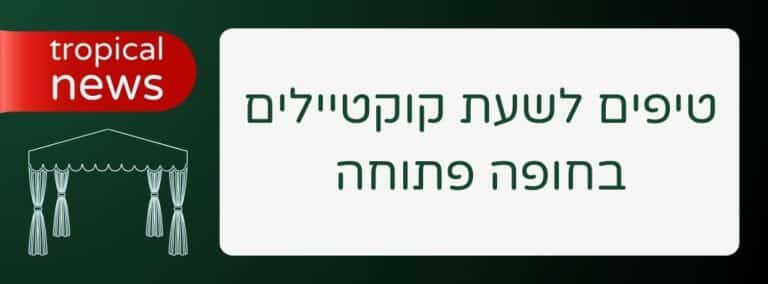 טיפים לשעת קוקטיילים בחופה פתוחה - שירותי בר