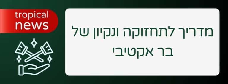 מדריך לתחזוקה ונקיון של בר אקטיבי - שירותי בר