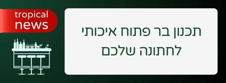 תכנון בר פתוח איכותי לחתונה שלכם - שירותי בר